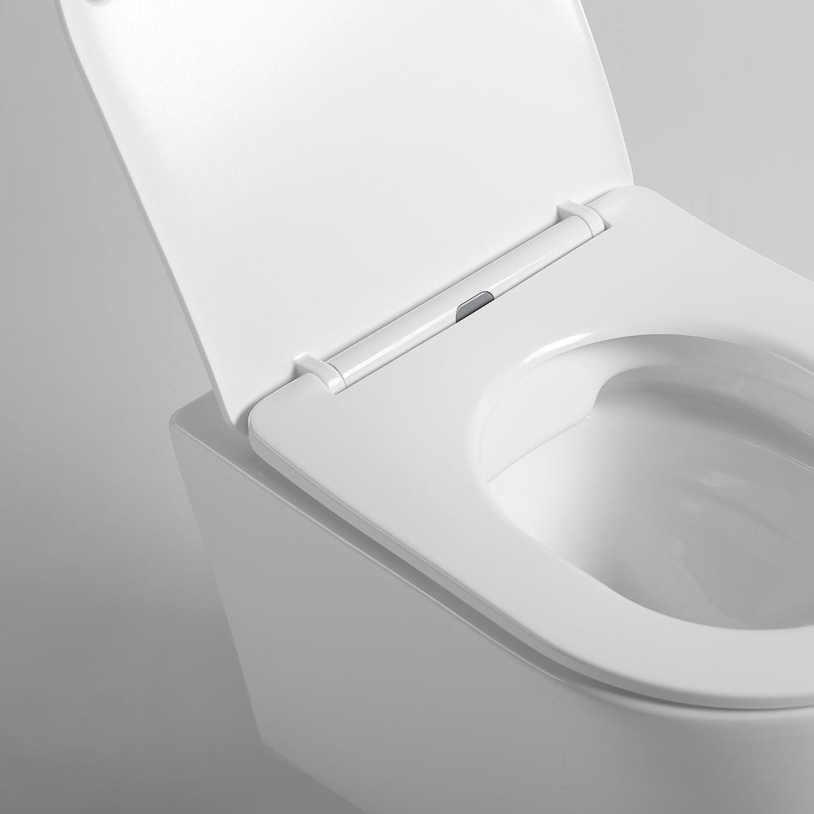 Kivu veggtoalett inkl sete hvit glans